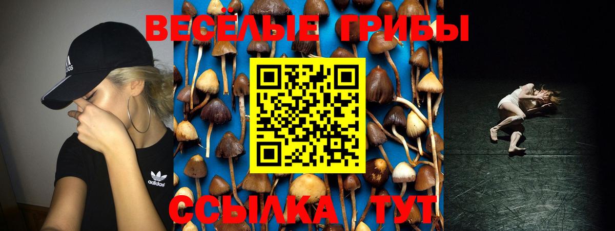 Псилоцибиновые грибы Psilocybine cubensis  Вход с VPN  Белгород 